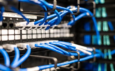 Blue plastic wires with white tips connected to server and provide access to information